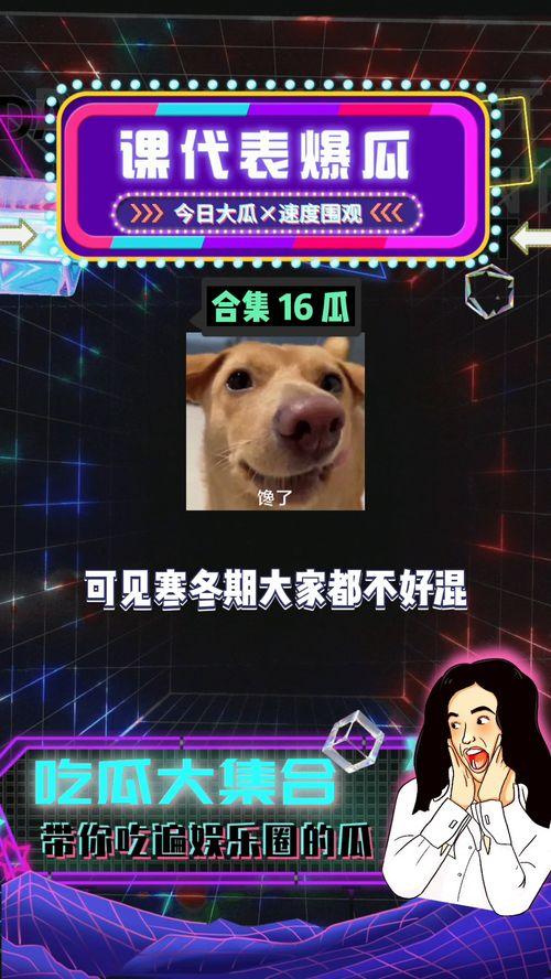 娱乐八卦吃瓜八卦是什么,从吃瓜八卦到幕后真相  第2张