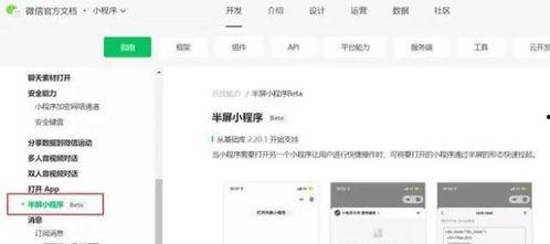最新焦点爆料小程序下载,揭秘最新小程序下载背后的秘密与趋势  第2张