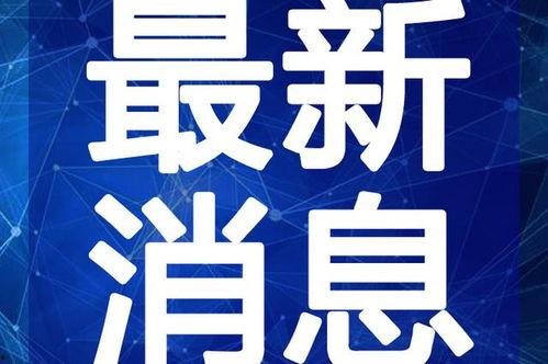 虎帅最新爆料新闻视频,最新爆料新闻视频深度解析